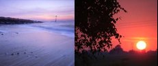Sunrise on Suffok beach, sunset in Suffolk woods